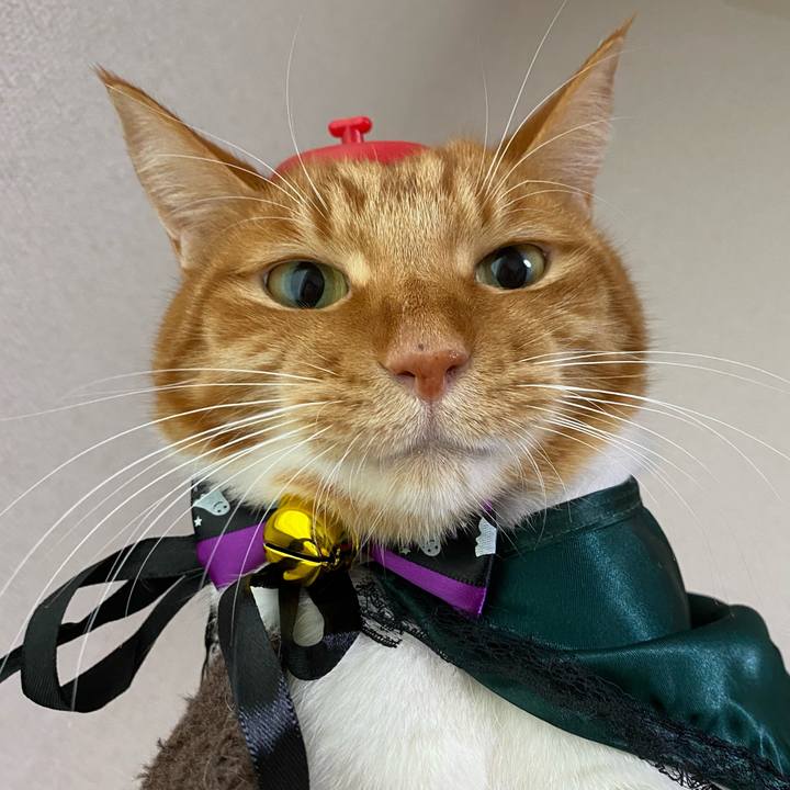 374347c7 c390 4e93 87d0 379547b7d2f6 1635588780960