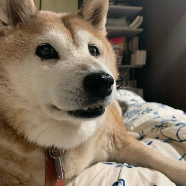 3743a0e7 256f 4789 8793 4738e79c6f98 1601127699872