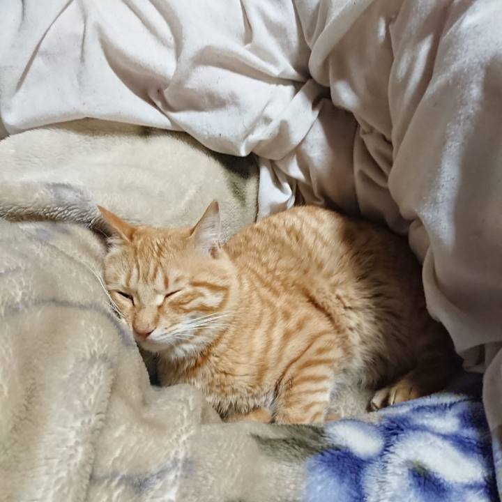 3743c963 eb46 494f 8b64 0d61ef495db3 1649421174845