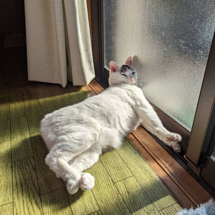 3743e3fd b452 4d6f 9f22 21c6a35ed43a 1678804451864