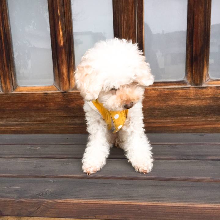 3743e87e c98a 4ef4 9420 d7be23c26eee 1542869986923