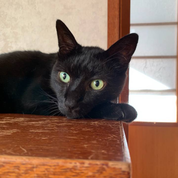 3743fdb5 6d60 425c beb3 4f85cc10e6de 1567730754289