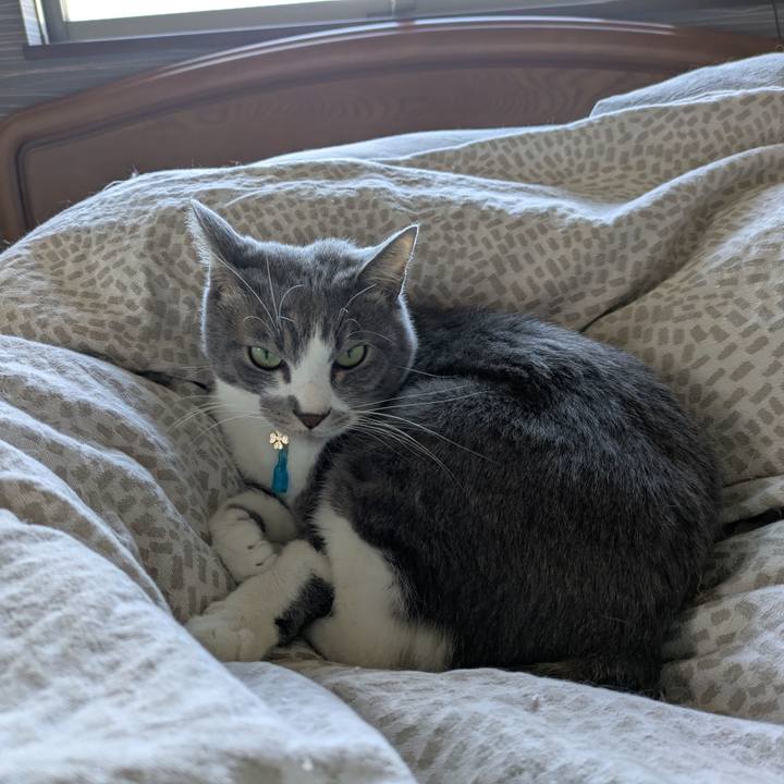 374431ca 7fc9 48d5 b639 f494216e6b51 1733895970389