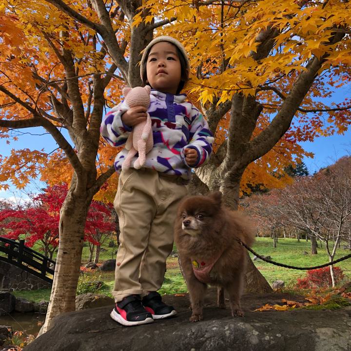 37447ecc be28 4bc6 9cf3 42a18e150bd7 1541376867661