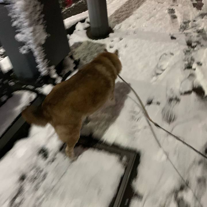 3744b699 63d1 42e0 9684 6979abb998b8 1641467967867