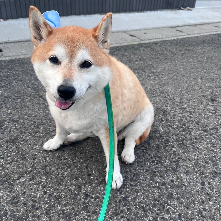 3744d2d7 049d 4ab2 8c10 cc8003108b8c 1716725401740