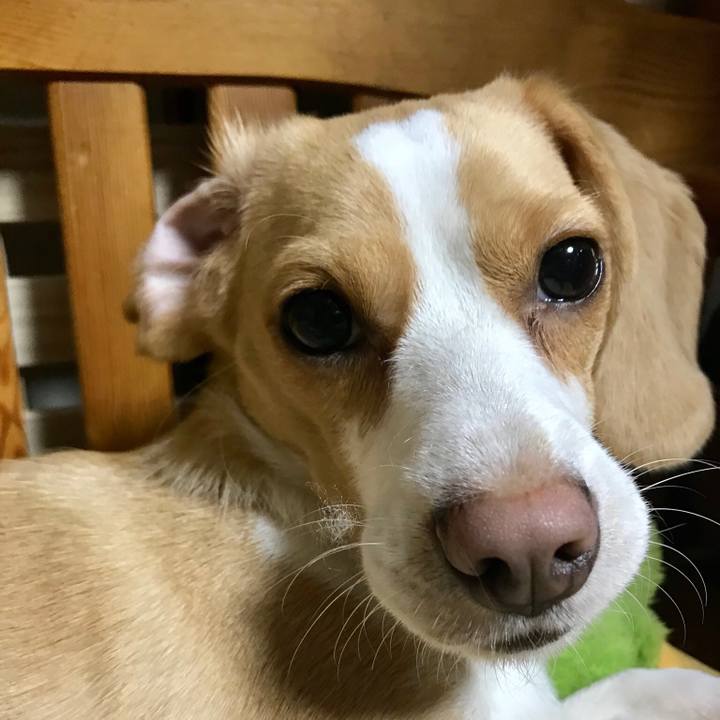 3744fa8d 3a9f 434d 8e0b 863a63934264 1530142090356