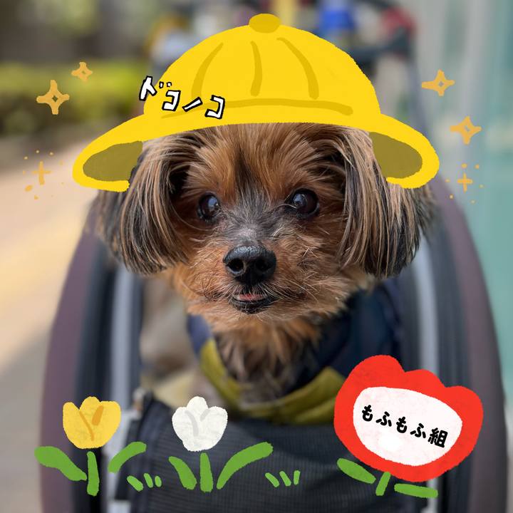 37450a0e 4842 4e95 9e4c 8c93ed809ae7 1712202685109