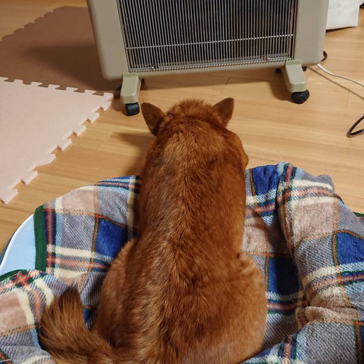 3745101f 2737 45ad 9442 f5f975922aa2 1573560498964