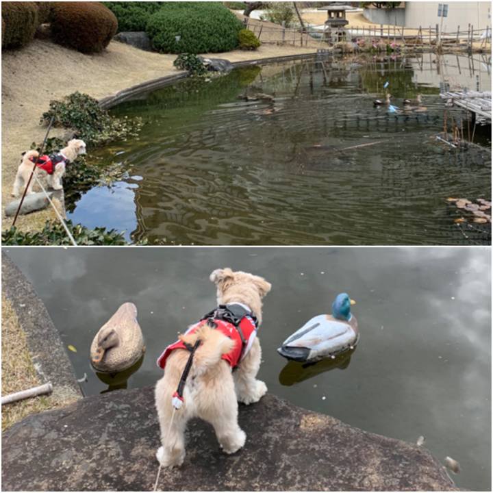 3745121e cf36 4f0c b769 df71f02c8ed6 1583407396554