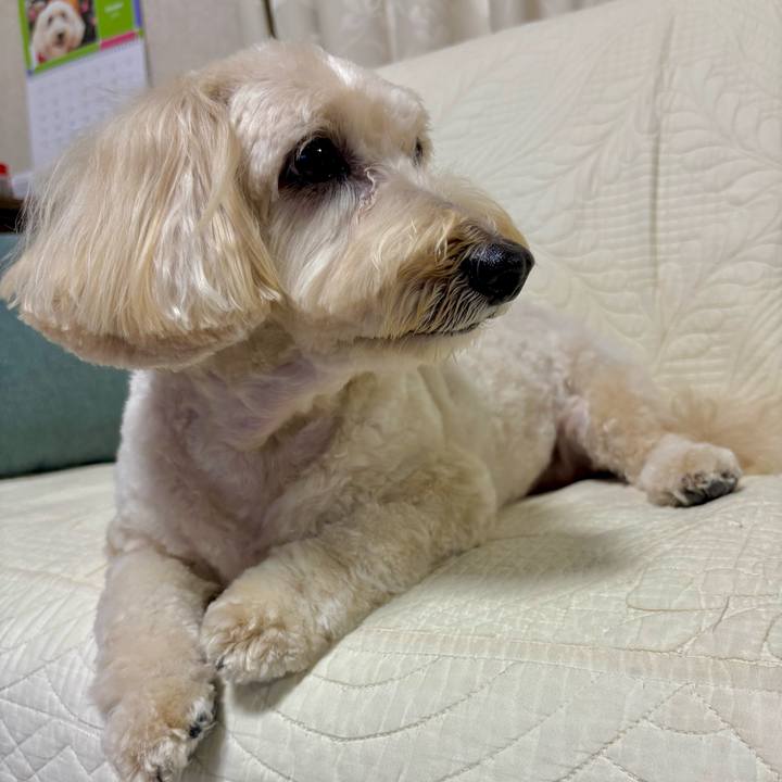 37456c39 220c 4f6a b0a8 5a9d9c3ea205 1760402192676