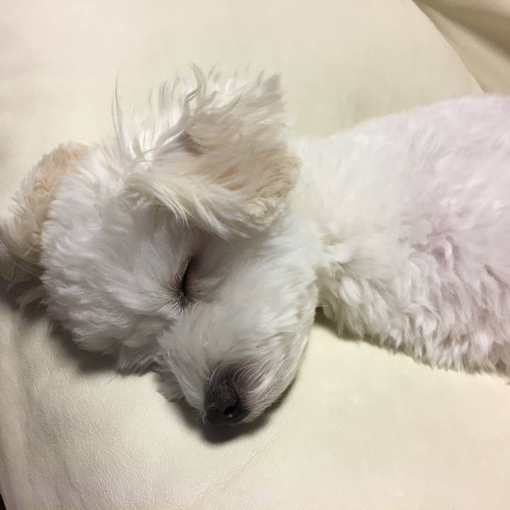 37459660 d6eb 4d88 afda 0df24ba17693 1535812144299