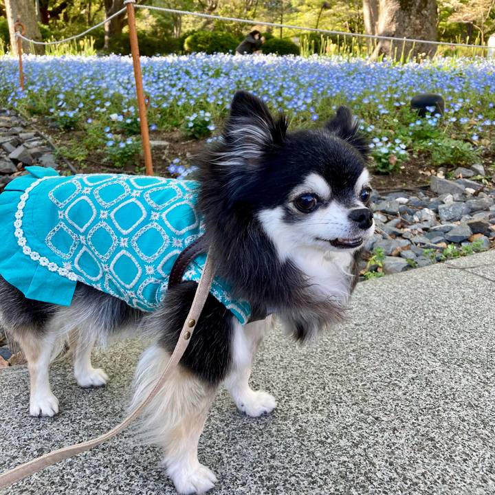 3745da28 27c7 4336 af67 dd3dc55320d4 1775646648896