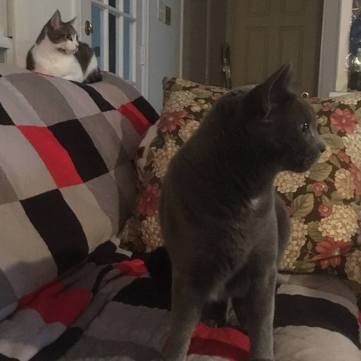 3745ec00 a6a0 48cf b7c7 ed8a221f7390 1651109576467