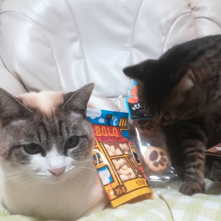 37461e9c 9066 4b34 a385 540d38ebc7f3 1519116665860