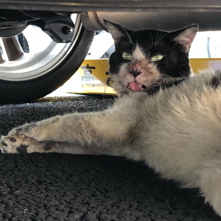 37463759 b906 463a a93f e3d86efbc653 1568319321477