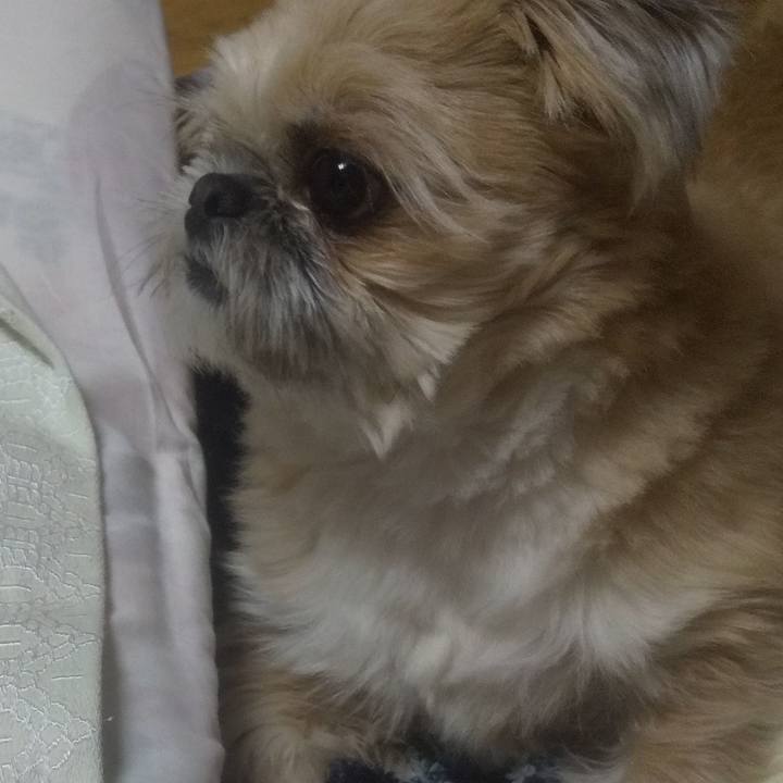 3746632d 4d5b 4741 aa8d 14622ff1e61c 1740669683080