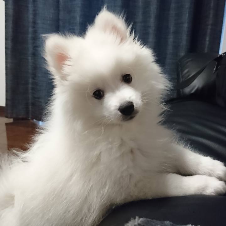 37466f6b 72ba 4e4e a0a6 46336f077090 1546929069087