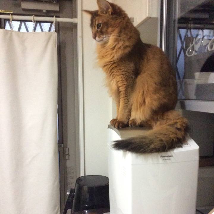 3746885e 9766 4780 9149 1bdd897b4d82 1606860926682