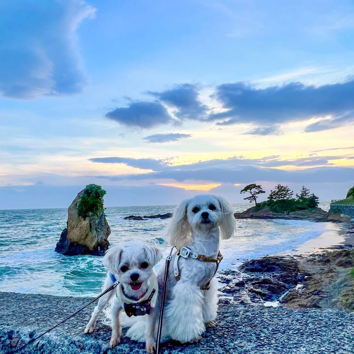 37468c92 6b3d 43ef 990f 7be4e33a2283 1683370798764