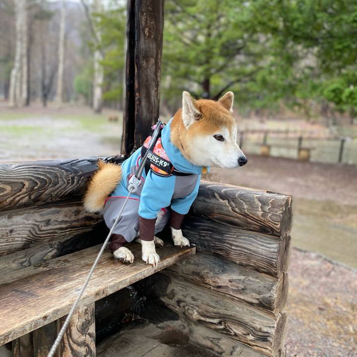 37469d1a cd56 4948 b0e5 f26d2a9a18d0 1618711255451