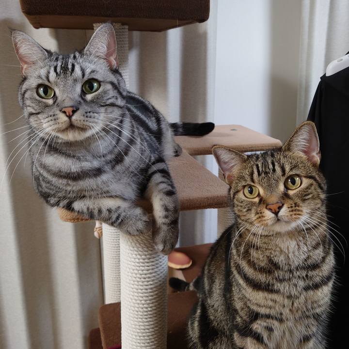 37469fa0 e70f 40de 80d3 948d0c7c055c 1629028785830