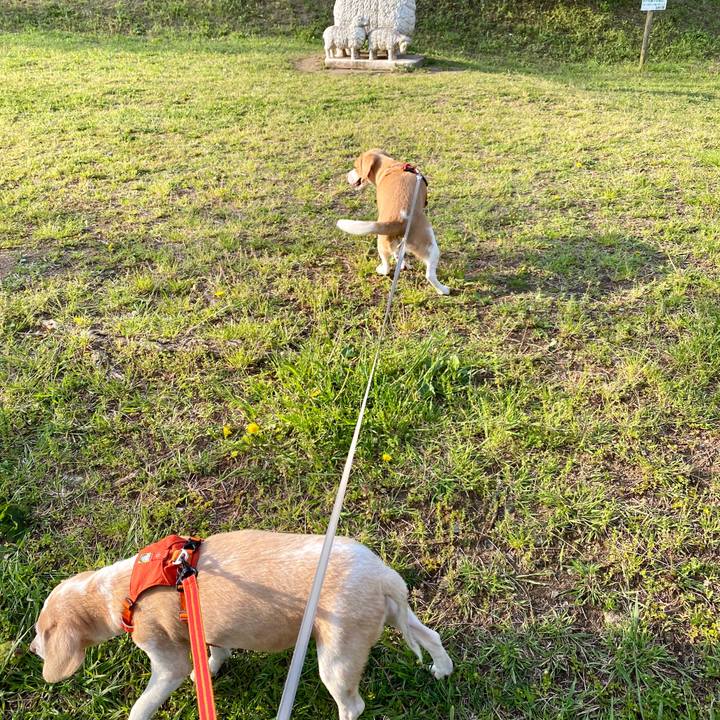 3746af2e fda2 4a16 a601 5dc59b9a884c 1587911492190