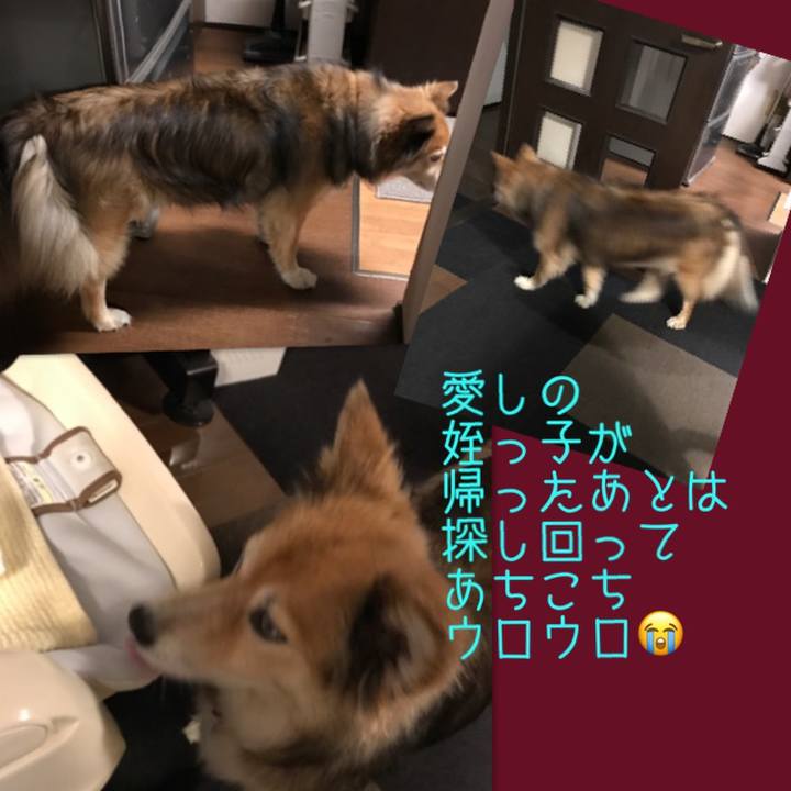 3746c6c6 b45f 4e9f 96a7 58f4aa382116 1560007960413