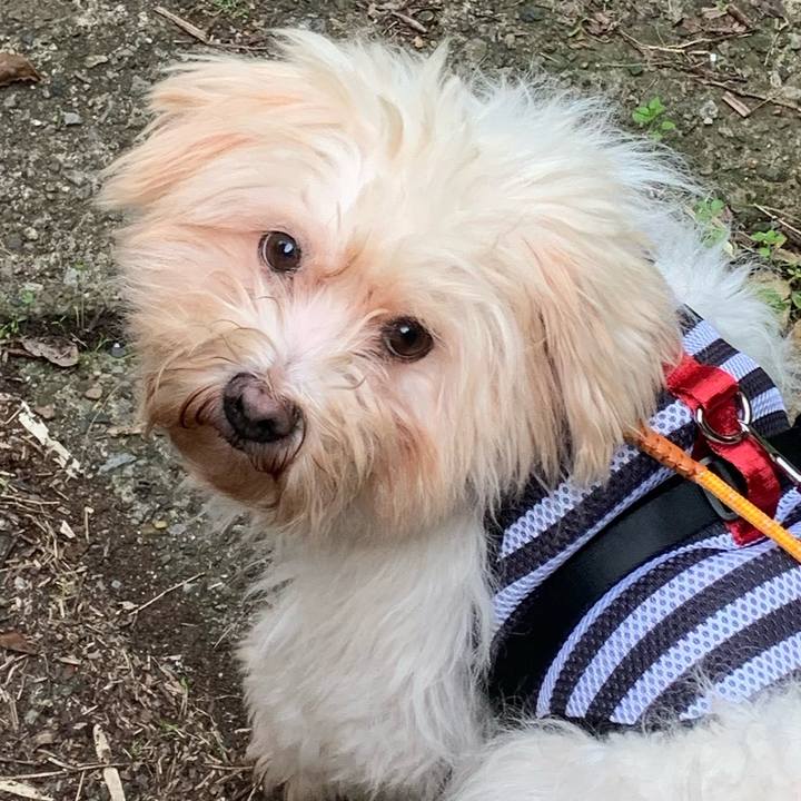 3746e387 95f5 4ab5 9a20 314da783a9a2 1636264657264