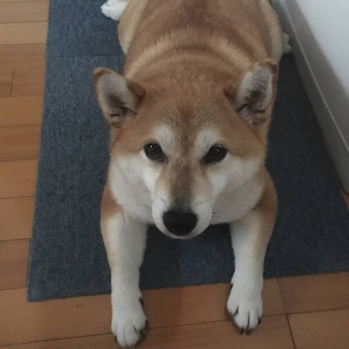 3746e512 f448 4c32 b8fa ca83449d7d0d 1594628049589