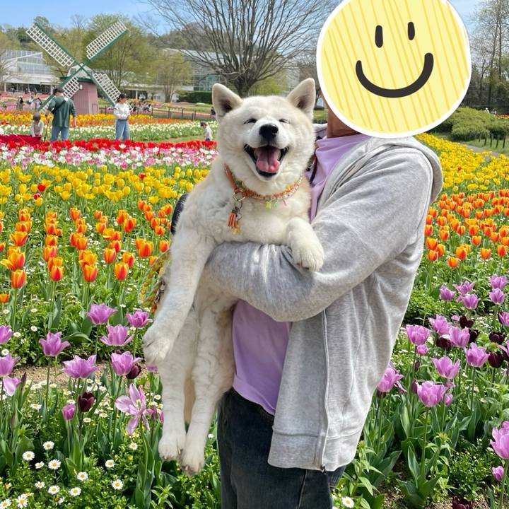 374705e0 cffa 44ef a31b 04d72162e1ba 1712581369639