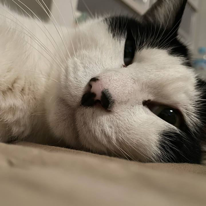 37471207 b37d 406c 9cb1 393947a6c3e7 1678011907701