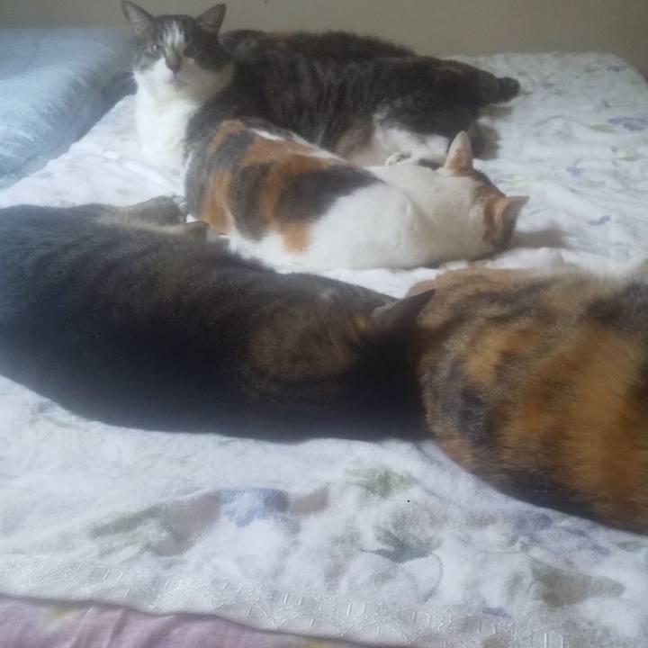 37471d9c 25ef 4299 9eca 5517e9296b9a 1753414370831