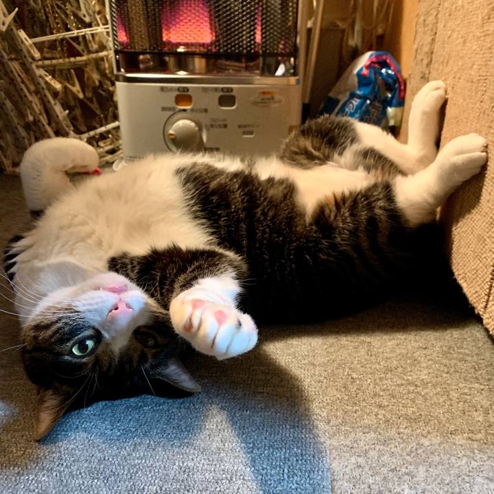 3747449c 0221 4d1a b7f9 c4b4cd02f241 1577107542824