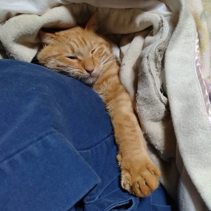 37474e23 2440 41f3 9a14 797871deddd3 1701604704645