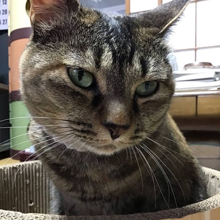 3747cbad deec 488d a790 6deead447d35 1719476733737