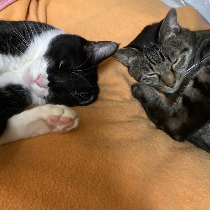 3747f44a 4c04 4f78 8bf2 ab76934b9fce 1635645939115