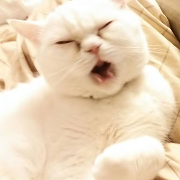 3747f7eb f908 4f54 9f50 9e38544cfebe 1517236530646