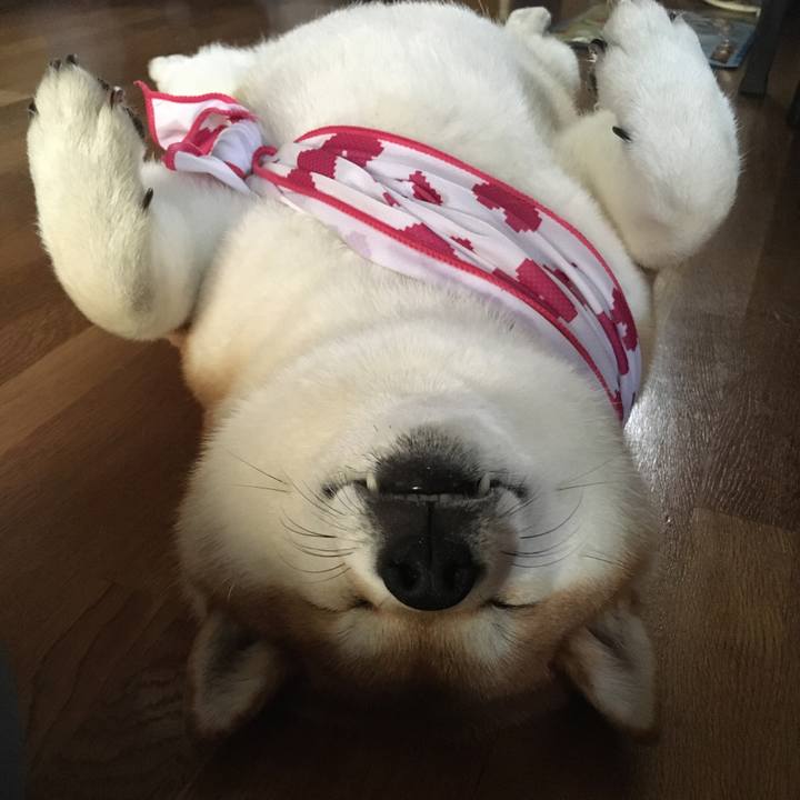 3748013f 3b93 418d b064 fa510dc14892 1596856349617