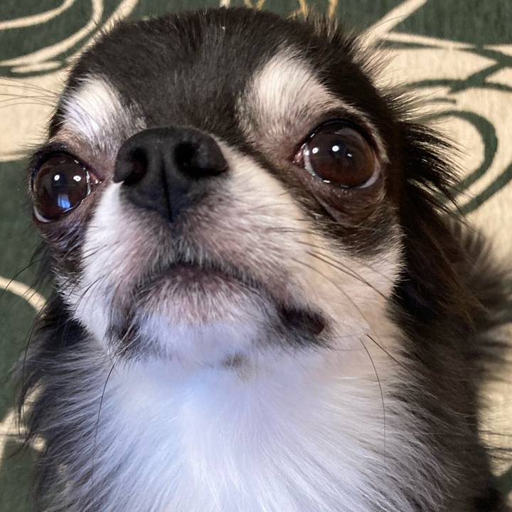 37481f7f b189 47c8 a779 cfc7794859fb 1636804505179