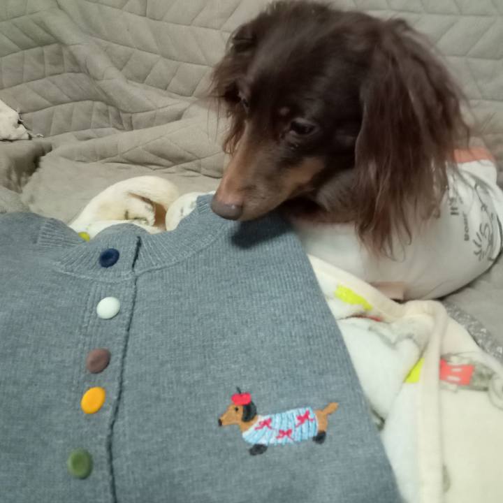 374890be 8eb1 414f a2c2 e13ea65735d3 1771020743684