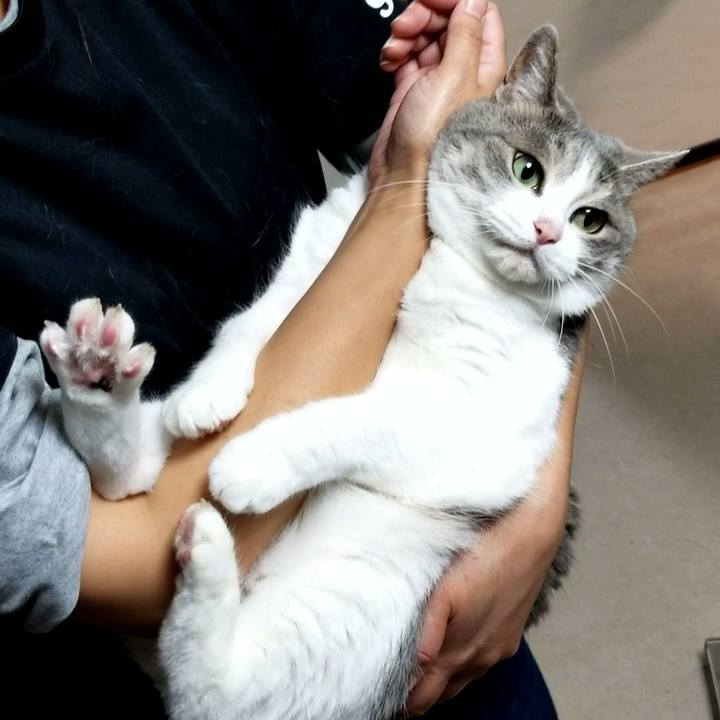 37489668 bc52 4d9e 8571 82966e52fc19 1656683970609