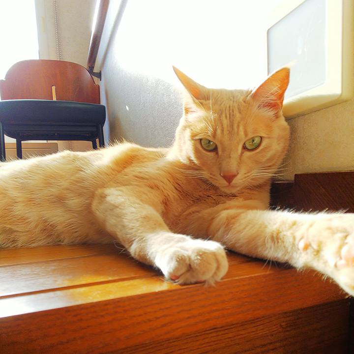 3748b96f 7296 4511 a1aa dc9ded56cc45 1609907892674