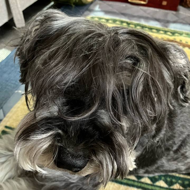 37491740 452c 45aa 84d1 1e5b18e21fa3 1717645745484