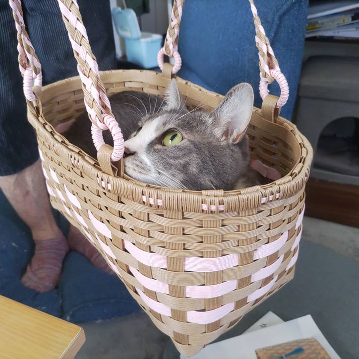 3749295d db08 4f1d 96da 9a19ffe7def7 1661245136369