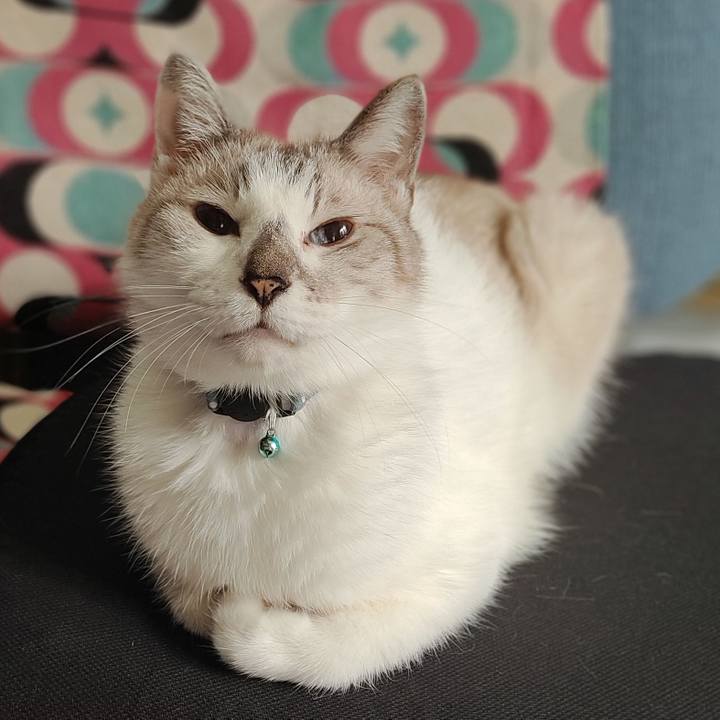 37495f91 3002 4ea9 8d44 b3591a3dd5c0 1663316784962