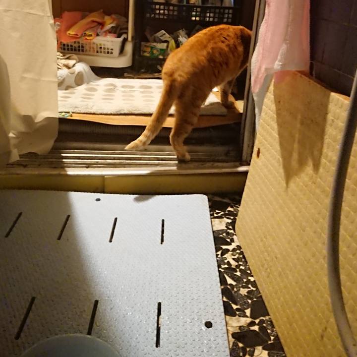 3749db0a cc44 4534 81a3 9e4742db318a 1575106311339