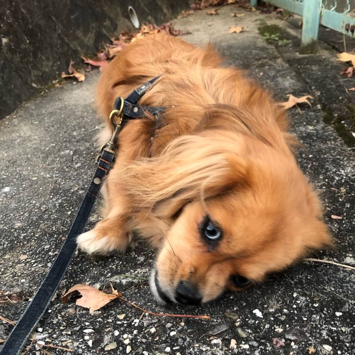 3749f7a6 d855 40e4 a091 4ba0c7ac607e 1542317497944