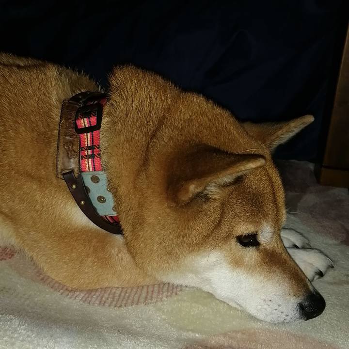 374a06e6 b2ed 45d5 a3d0 5fcd4d109f2f 1644478567545