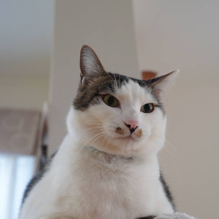 374a0c60 44f5 45bd 8835 22e4a09bccc3 1612932651354